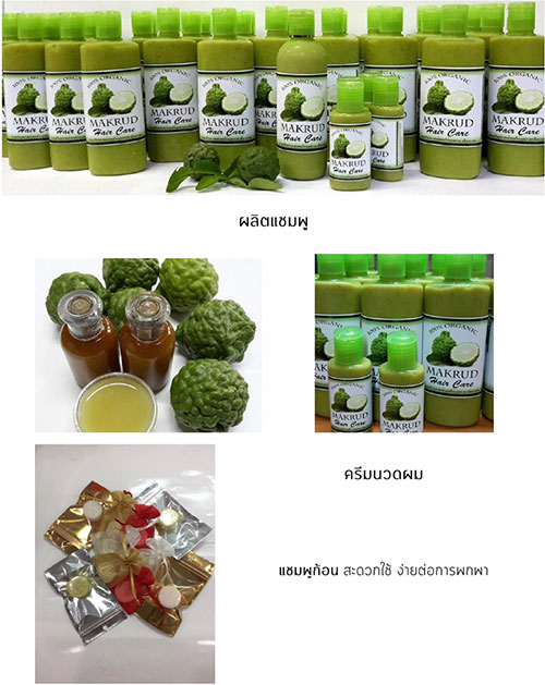 Sasi Beautified Boutique บริการทอผม วิกผมเสริม วิกผม ต่อผม 